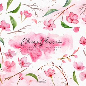 Clipart de aquarela de flor de cerejeira, verde empoeirado, folha, folhas, delicado, moderno, rosa, vegetação, galhos e ramos, sakura PNG