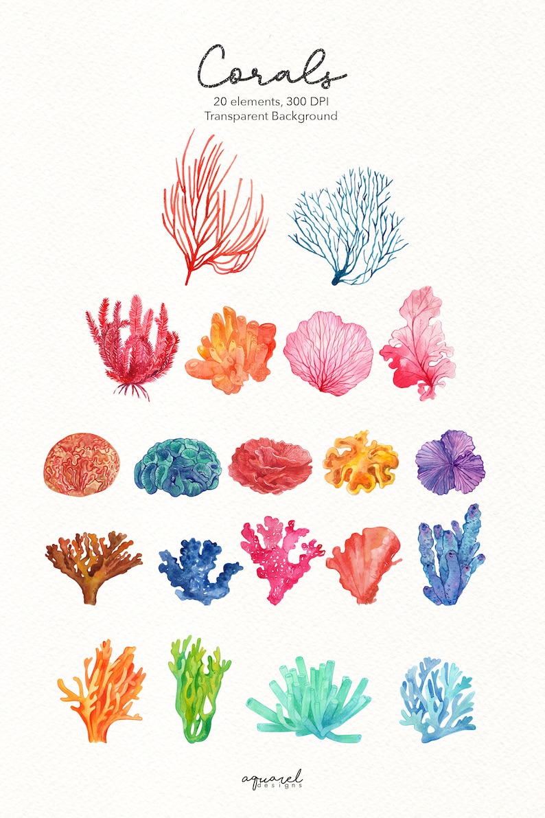 Watercolor Coral Reef Clipart Under the Sea clipart, Coral Reef Clipart, Ocean Clipart, Sea Coral Clipart, Anemone, Sea life clipart, PNG image 2