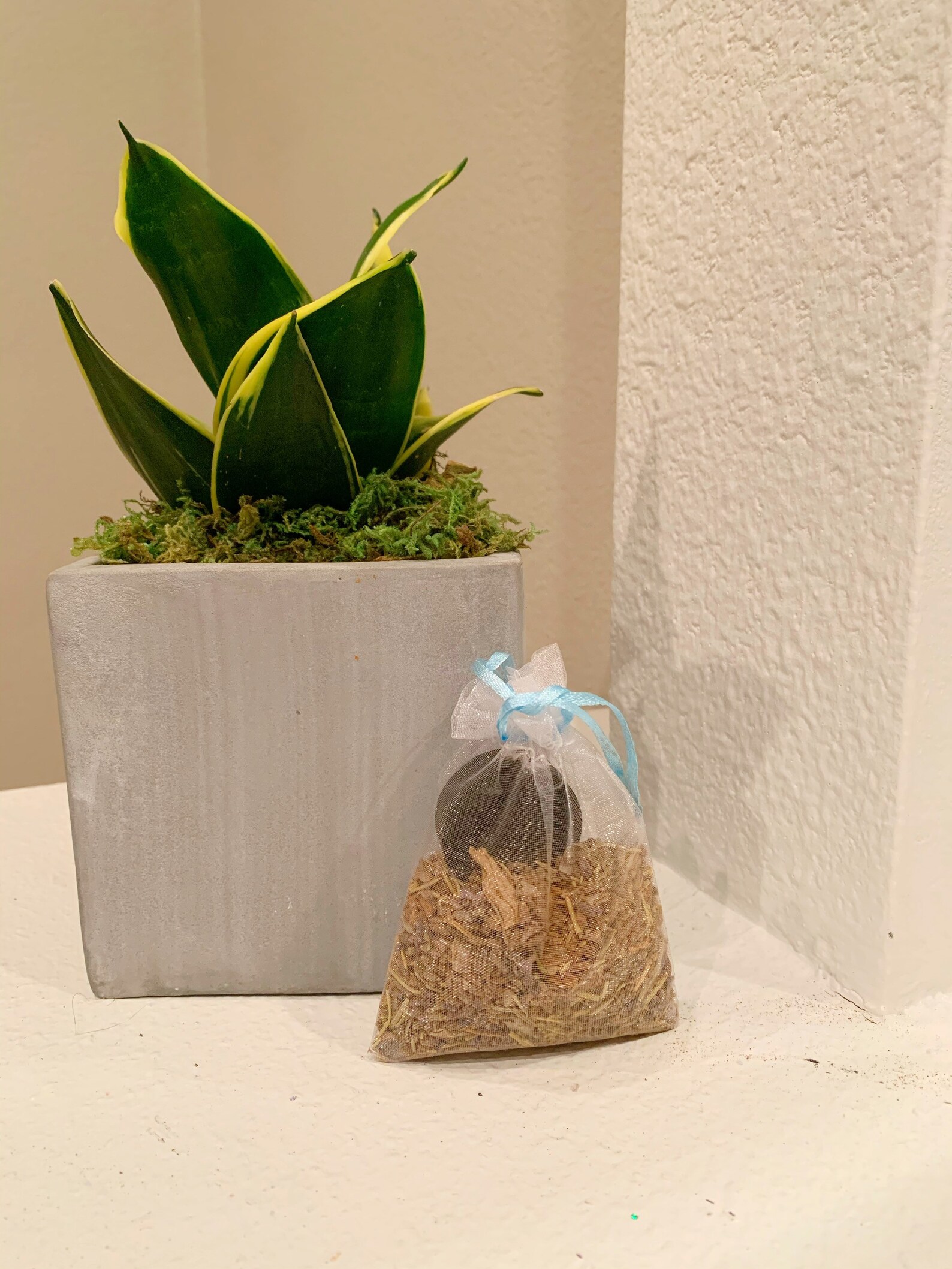 polvo para difuminar