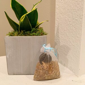 polvo para difuminar