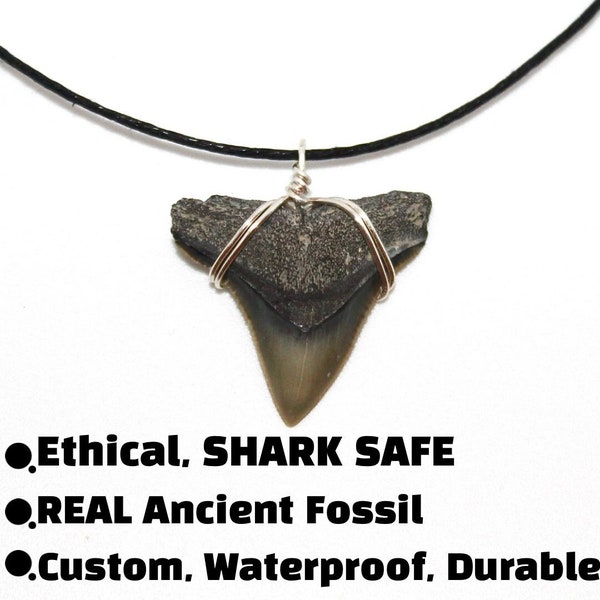 Classic Shark Tooth Necklace Real Fossil for Men Kids Women Boys Girls, JJ Maybank Outer Banks OBX Style Sharks Teeth Jewelry, Handmade Surf