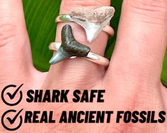 Real Fossil Shark Teeth Rings