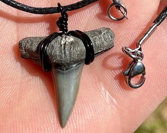 REAL Lemon Shark Tooth Necklace, Sharks Teeth Jewelry, Authentic Ancient Fossil Ocean Lover Handmade Fossilized Pendant, Ethical Florida Obx