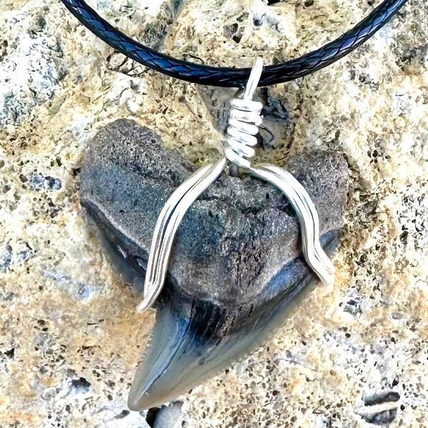 REAL Tiger Shark Tooth Necklace, Rare Ethical Fossil Sharks Teeth, Choker from Florida, Handmade Jewelry, Ancient Fossilized, Surfer Ocean