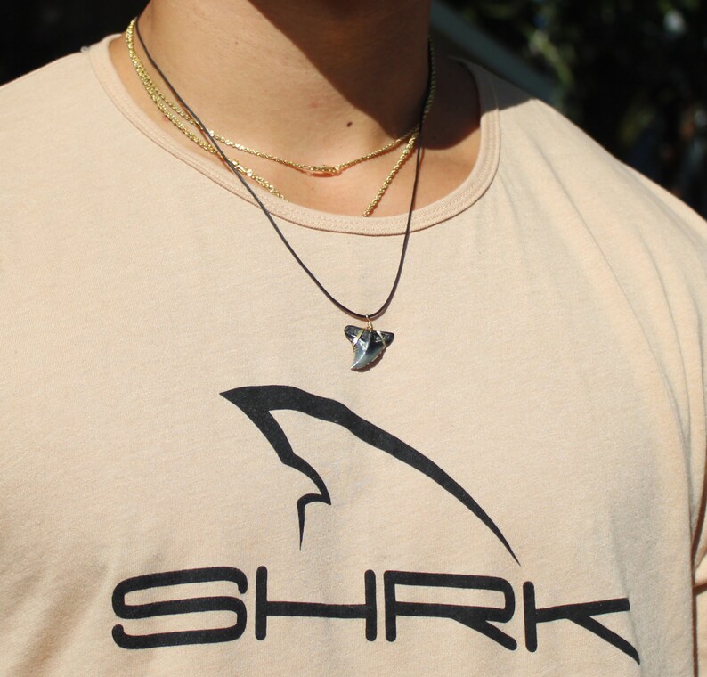 Summer Necklace Fossil Shark Tooth Shark Tooth Necklace Sharks Fossil Shark Tooth Shark Tooth Choker Sand Tiger Shark Tooth Necklace