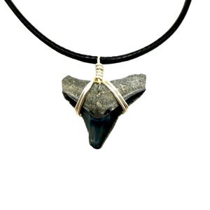 VALUE Hajtandshalsband