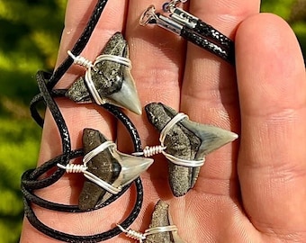 ★BTS着用★関税込★PORTRAIT REPORT★“Shark Tooth” Necklace JJ Maybank Shark Tooth Necklace Outer Banks, Handmade Real