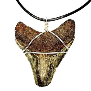 REAL Megalodon Shark Tooth Statement Necklace, Authentic Fossils, Large Sharks Teeth Jewelry Ancient Boho Fossil, for Men Women, Boys Girls