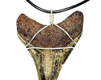 REAL Megalodon Shark Tooth Statement Necklace, Authentic Fossils, Large Sharks Teeth Jewelry Ancient Boho Fossil, for Men Women, Boys Girls