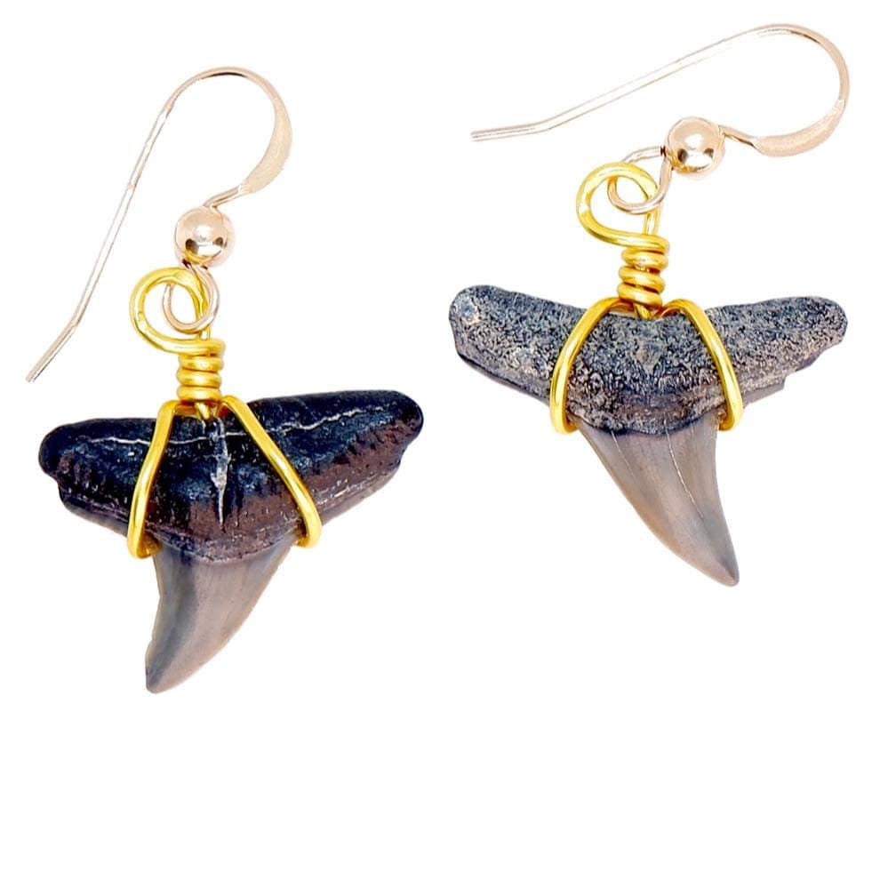 REAL Shark Tooth Dangle Earrings 14kt Gold or Sterling Silver Authentic Real Fossilized Jewelry, Fossil Sharks Teeth Earring, Women, Girls