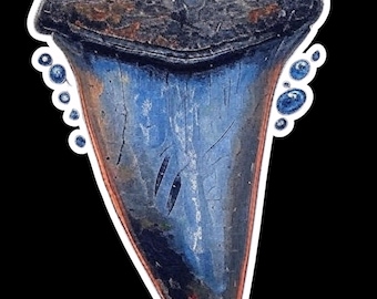 Mako Shark Tooth Sticker, Ancient Fossil Replica