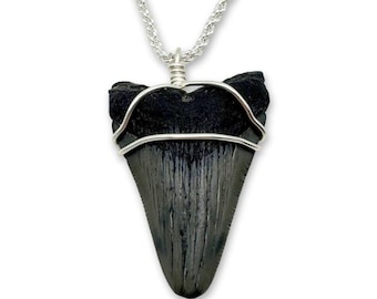 Megalodon Haifischzahn-Halskette, Sterlingsilber-Seilkette, 40 - 76 cm
