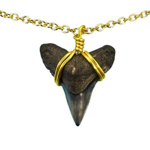 REAL Gold Fossil Shark Tooth 14kt Filled Chain Necklace, Charm Necklaces Ethical Custom Sharks Teeth Jewelry Choker Dainty Women, Girls Gift