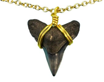 Dainty Shark Tooth Necklace, 14K Gold Filled Chain and Wire Wrap, 14"-30"