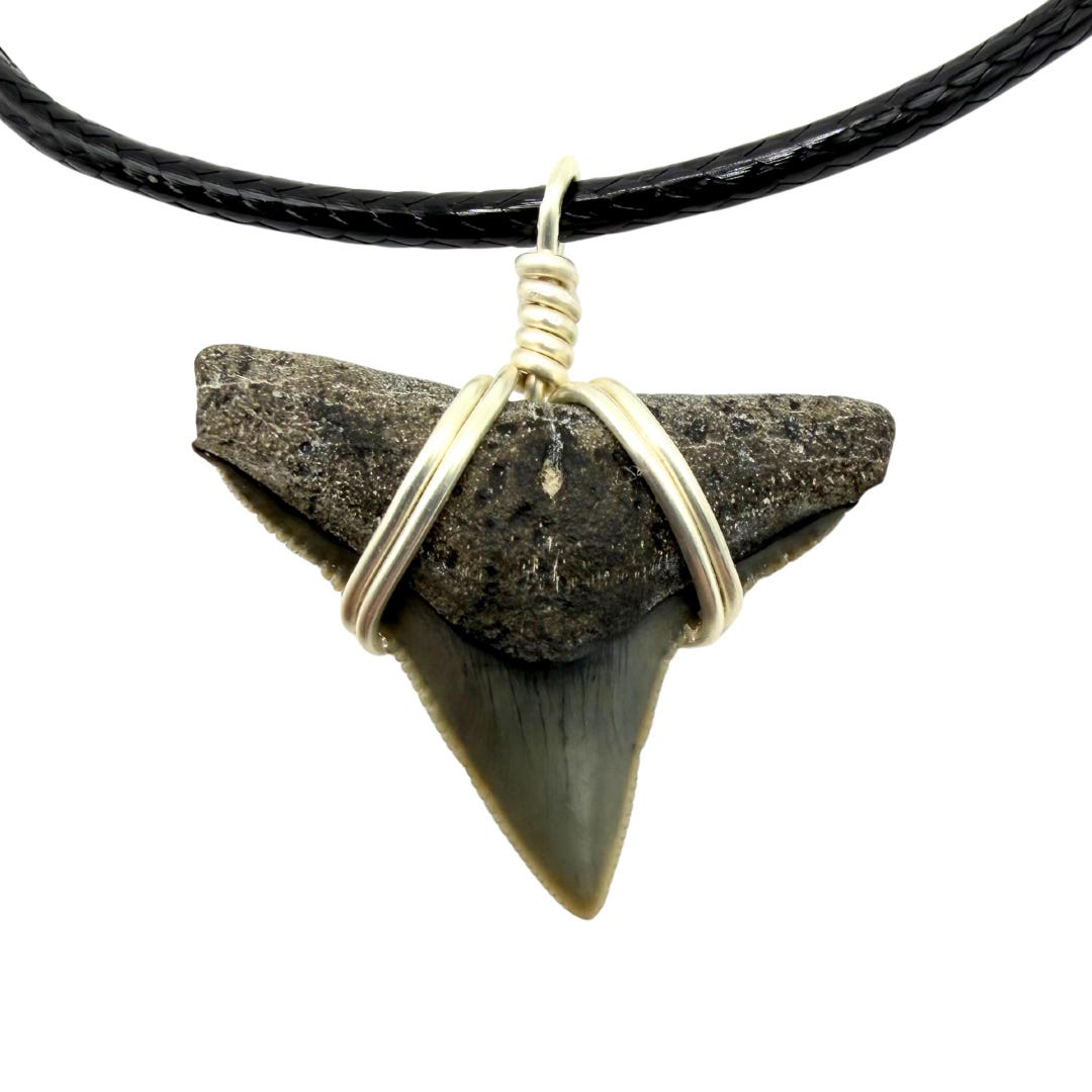 JJ Maybank Shark Tooth Necklace Outer Banks - Etsy Finland