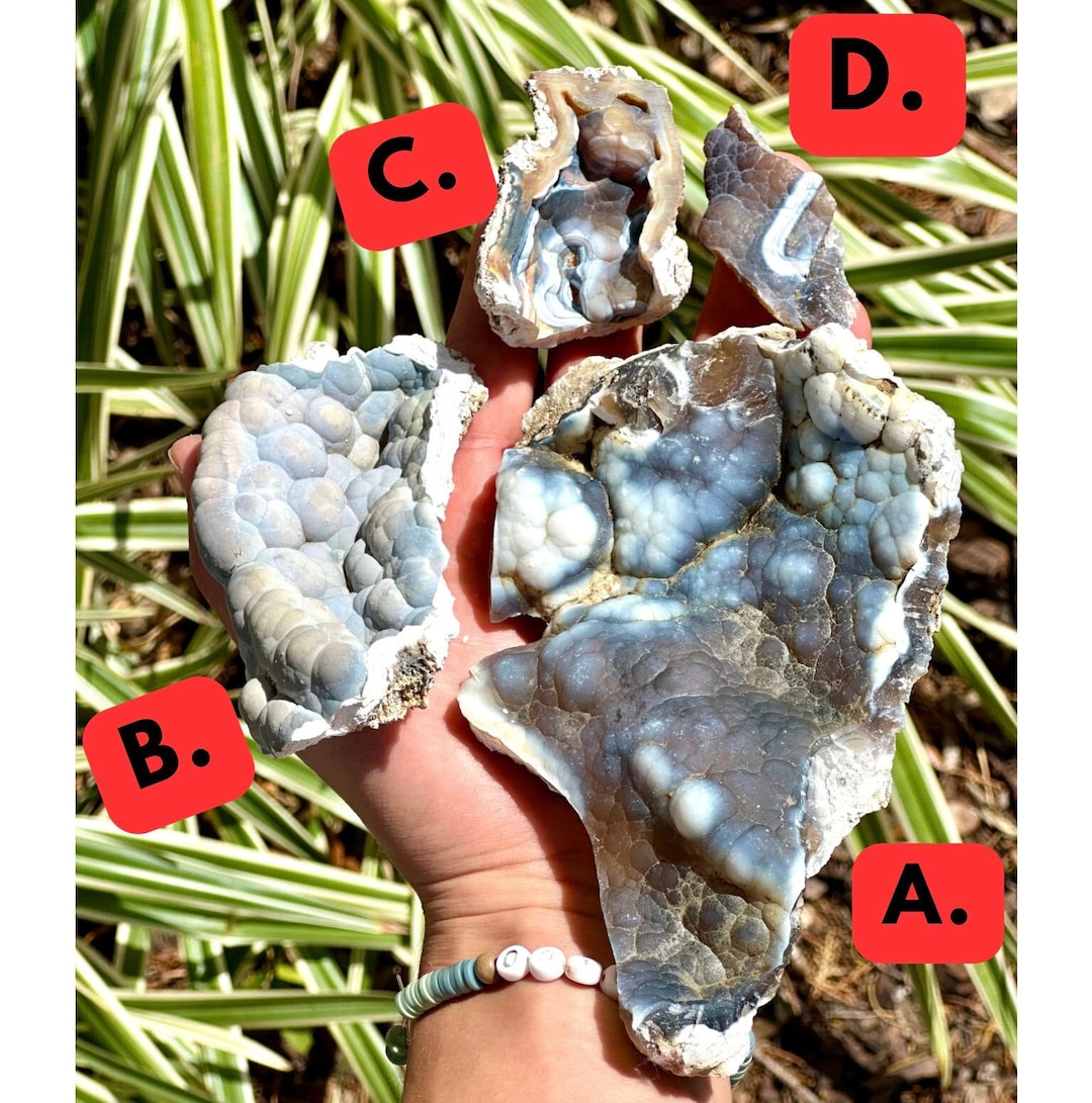 BIG SELECTION Agatized Coral Pieces, Colorful Natural Rough Agate