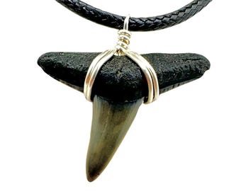 REAL Lemon Shark Tooth Necklace, Sharks Teeth Jewelry, Authentic Ancient Fossil Ocean Lover Handmade Fossilized Pendant, Ethical Florida Obx