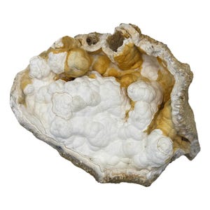 Orange & White Botryoidal Coral Geode, Fossilized Coral Crystal, Ocean Jasper Fossil, Unique Home Décor