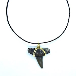 Shark Tooth Choker, Handmade Necklace, Real Ethical Fossilized Ancient Sharks Teeth, Small Dainty Black Nature Jewelry, Sharky Necklaces Obx