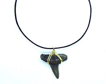 Shark Tooth Choker, Handmade Necklace, Real Ethical Fossilized Ancient Sharks Teeth, Small Dainty Black Nature Jewelry, Sharky Necklaces Obx