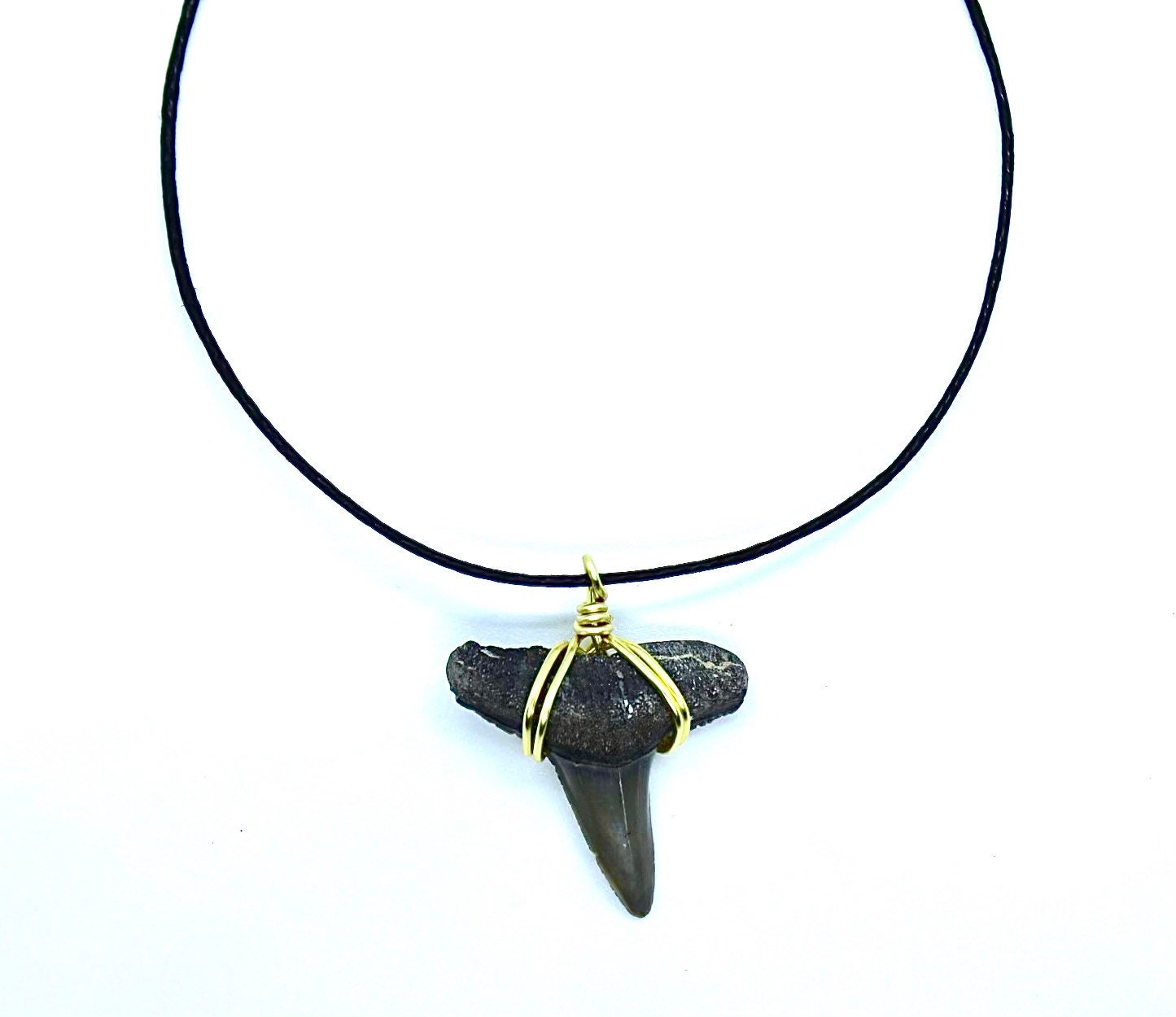 Black Shark Tooth Necklace – Cool Jewels