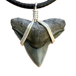 Collar clásico de diente de tiburón toro, fósil auténtico, envuelto en alambre.
