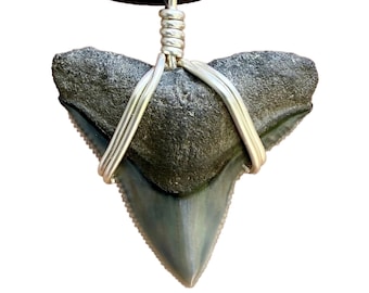 Collar clásico de diente de tiburón