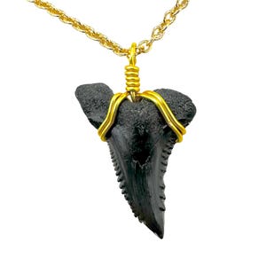 RARE 14kt Gold Snaggletooth Fossil Shark Tooth Necklace, Sterling Silver, Ocean & Sea Lover, Handmade Surf Style Pendant, Ancient Real
