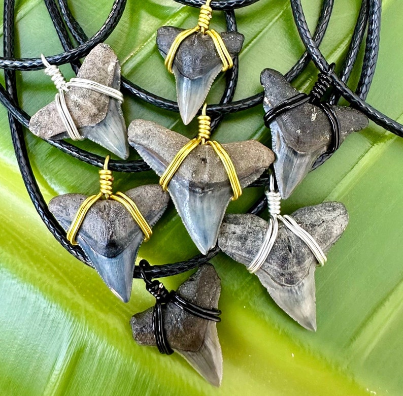 Classic Bull Shark Fossil necklace outer banks beach style handmade in Florida.  Great for spring break, vacations, and everyday life for any shark fan!  Always ethically found, fossilized and ancient.