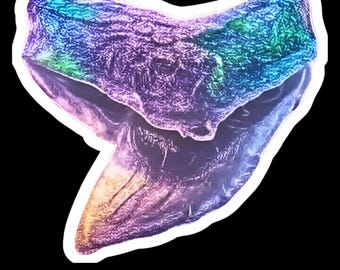 Tiger Sharks Tooth Sticker, Ancient Fossil Replica