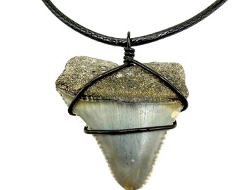 Classic Great White Fossil Necklace