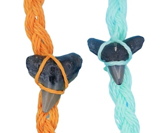 Real Shark Tooth Bracelet, Waterproof Fossilized , Adjustable Cotton Cord, Custom Color