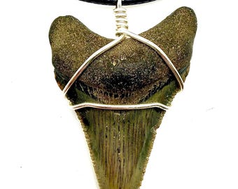 Megalodon Haifischzahn-Halskette, Wire Wrap, wasserdichte schwarze Kordel, 14 "-30"