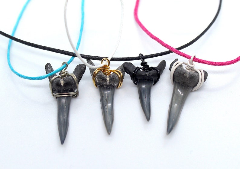 Summer Necklace Fossil Shark Tooth Shark Tooth Necklace Sharks Fossil Shark Tooth Shark Tooth Choker Sand Tiger Shark Tooth Necklace