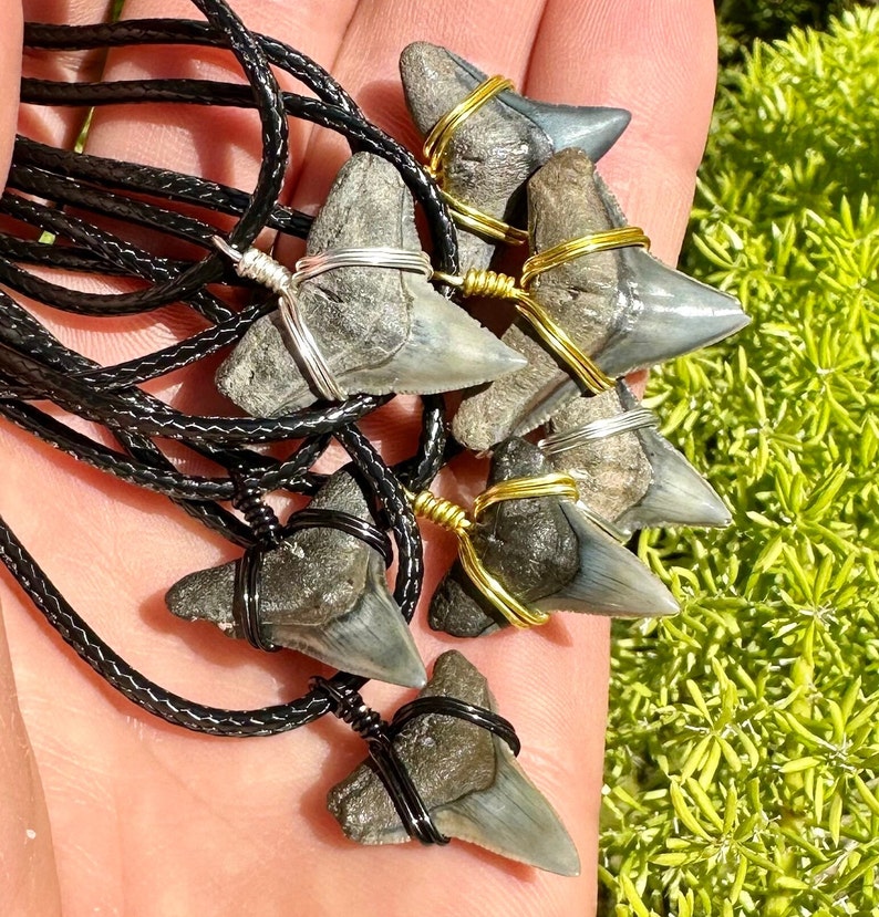 Classic Bull Shark Fossil necklace outer banks beach style handmade in Florida.  Great for spring break, vacations, and everyday life for any shark fan!  Always ethically found, fossilized and ancient.