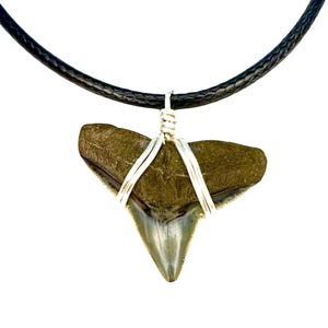May include: A fossilised shark tooth pendant on a black leather cord. The tooth is wrapped in silver wire and has a dark brown and light grey colour.