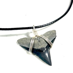 Beautifully hand wrapped bull shark tooth necklace with threaded natural cord.  Waterproof, durable and ethical fossil necklaces and jewelry here at SHRKco