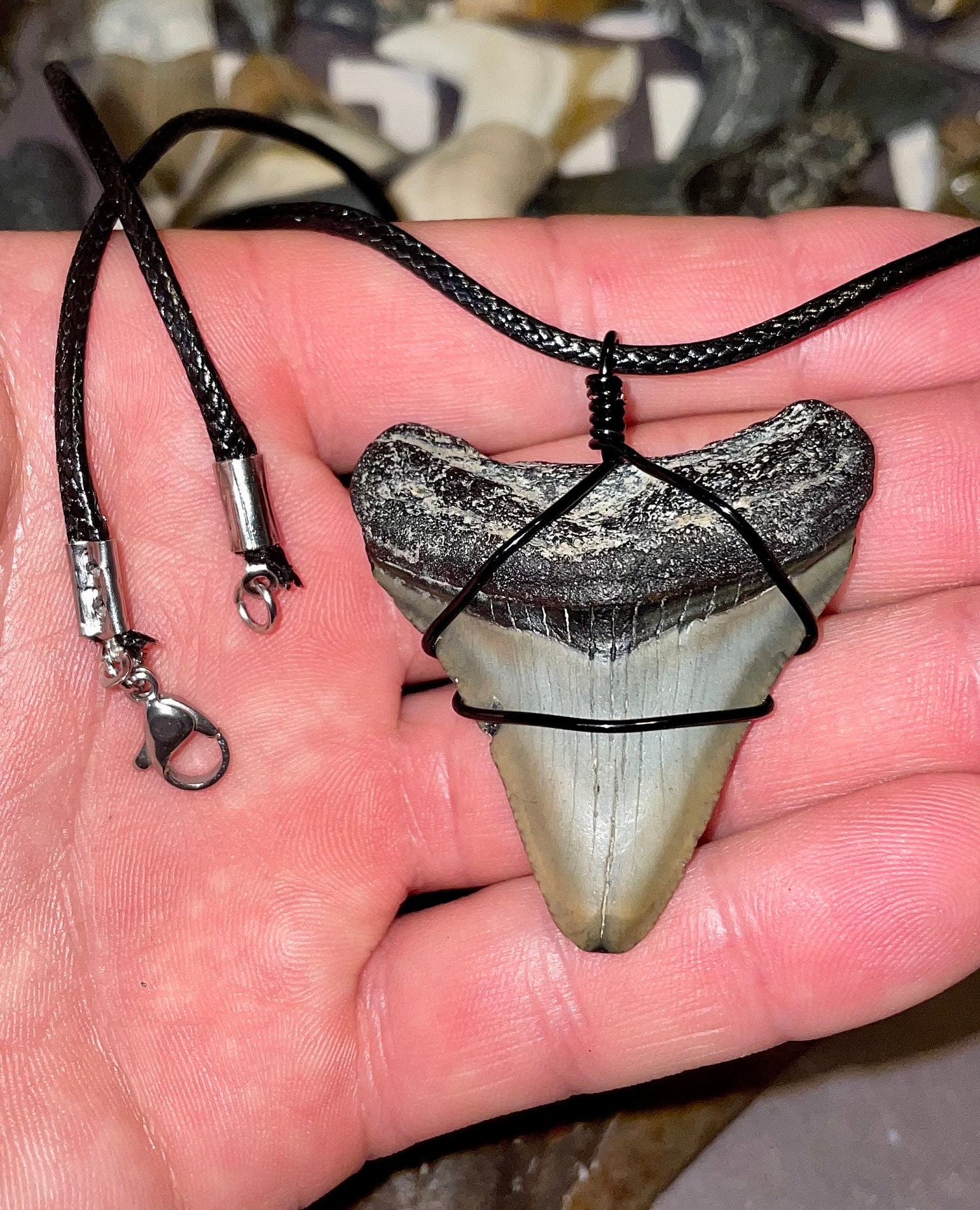 Shark Tooth Necklace With Cream Beads – Real Shark Tooth Necklaces