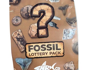 Fossil Lottery Pack