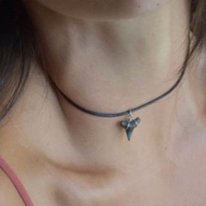 Shark Tooth Choker, Handmade Necklace, Real Ethical Fossilized Ancient Sharks Teeth, Small Dainty Black Nature Jewelry, Sharky Necklaces Obx