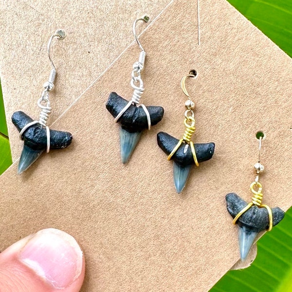 14kt Gold or Sterling Silver Shark Tooth Dangle Earring, Authentic Real Fossilized Jewelry, Fossil Sharks Teeth Earrings, Women, Girls, Surf