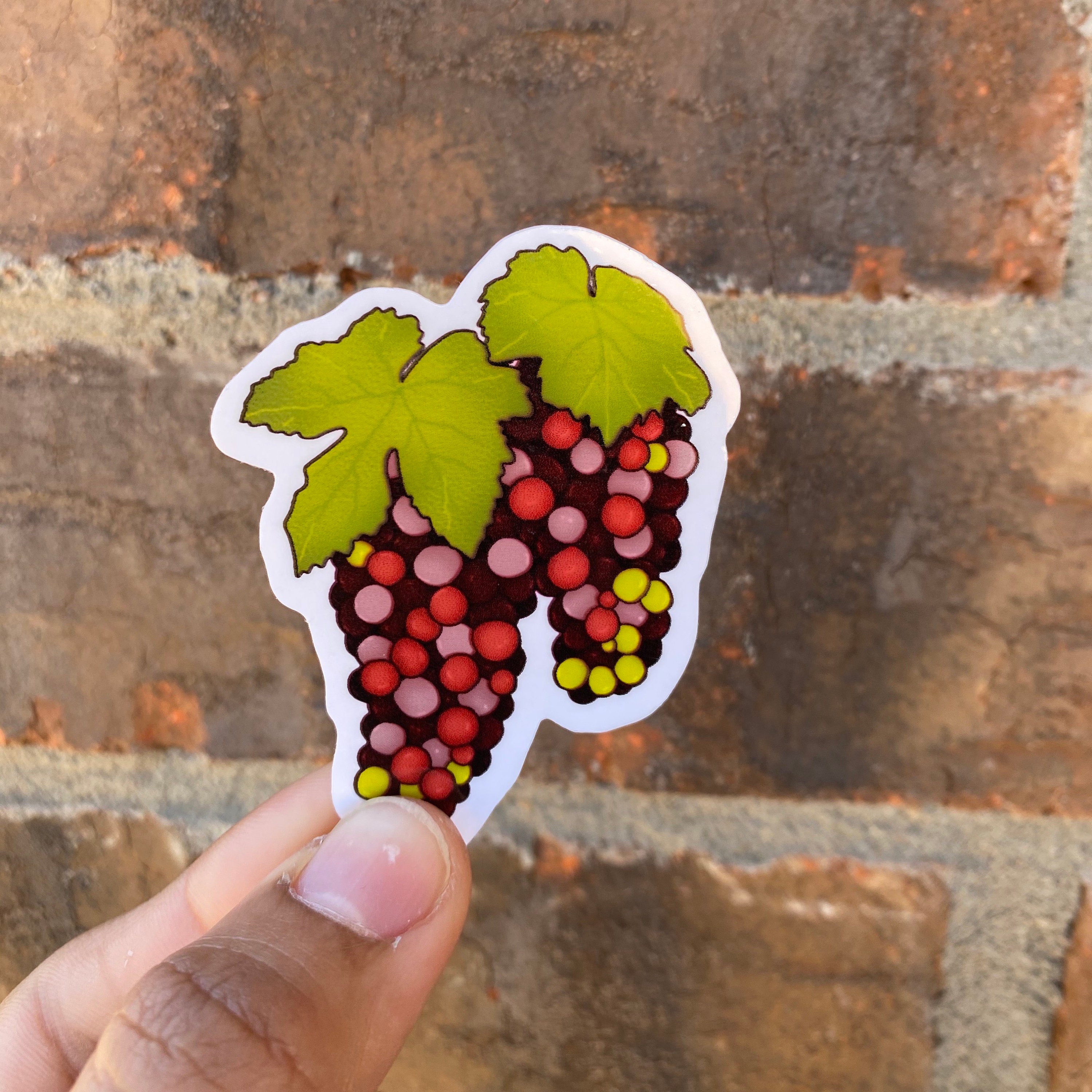 Grapes Stickers Fruit Sticker Pegatina De Uvas Pegatinas - Etsy