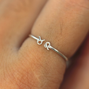 925 silver zodiac ring,Astrology Rings,Horoscope Rings,Aquarius ring,Pisces ring,Aries ring,adjustable ring,open ring
