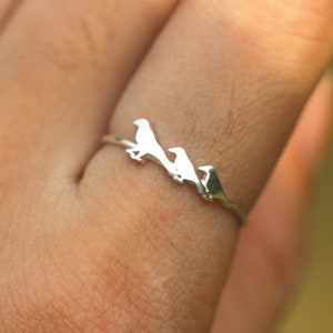 925 silver bird ring,Swallow ring,dove ring,family jewelry