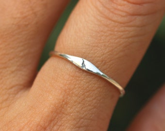 May include: A silver ring with a small bird design on the band.