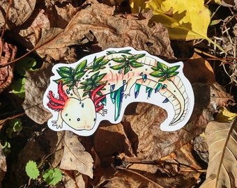 Axolotl - Crystal Series Sticker