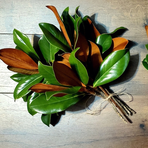 Magnolia Branches Etsy