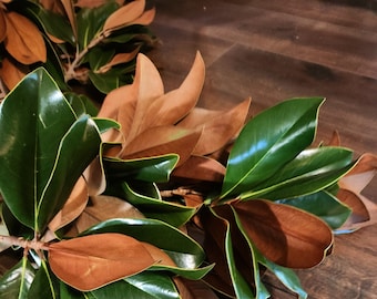 Fresh Southern Magnolia Leaves - Sale! 20% FREE, Hand-picked, Home Decor Weddings Parties Gifts, Avail Year-Round, Preserved Dried Leaves