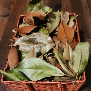 May include: A wicker basket filled with dried magnolia leaves. The leaves are a mix of brown and green.