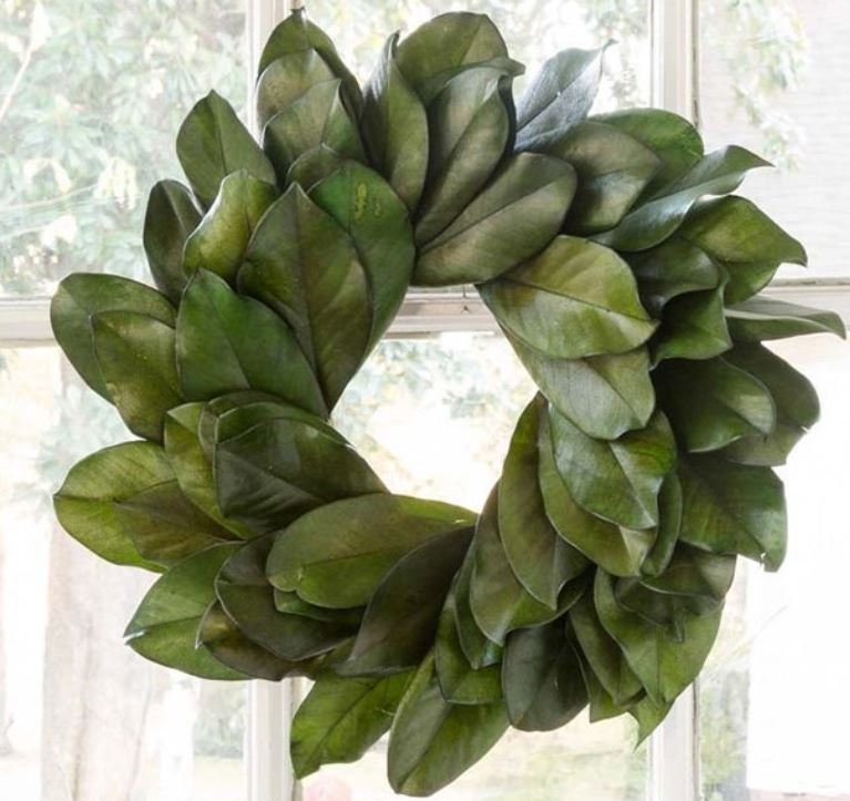 SALE Freshly Picked Southern Magnolia Leaves or Dried Leaves Etsy